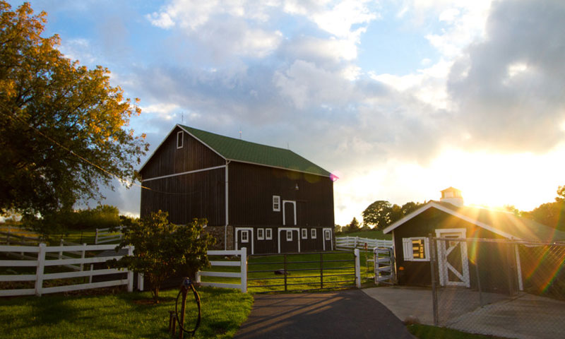 Outside view of Hydrangea Blu Barn