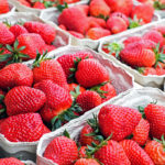 Strawberries freshly picked